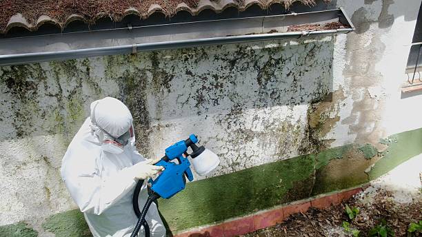 Top rated local Attic Mold Remediation specialists in Cordova, MD